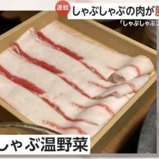 ムービーモンスターシリーズに「ゴジラ(2002)」が登場