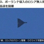 鳶の羽