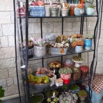 ロココのやさしい時間