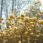 サイがゆく。絶景重視の夫婦外遊び（キャンプと登山、釣り少々）