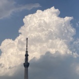 『天の導きは入り口まで vol.4124』の画像