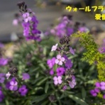 田舎記者の手帳