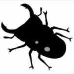 ノコギリクワガタ捕まえたった(´・ω・｀)