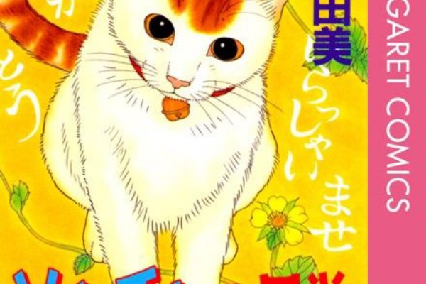 Pure Memory ゾッチャの日常