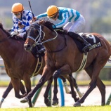 『小倉競馬で2頭が勝利』の画像