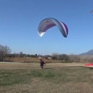 春の陽気　2026/1/17（土）