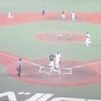 とある鷹好きの黒猫のウィズログ