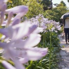 『２０２５年　☆気まぐれ☆　ベスト１０―⑥』の画像