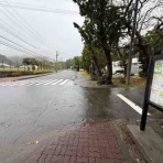 小笠原父島　オガツアーのブログ３