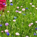 こういう時は【血管外科】のある病院へ