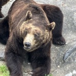 株山人の投資徒然草