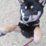 churahamaのブログ