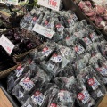 サンプラザ島泉店で、販売中🍆