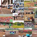 4/26(日)〝ファームリーグ西地区公式戦「広島カープvs福岡ソフトバンク」〟戦の観戦(01)
