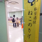 猫とお酒と日々のこと