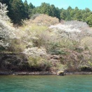 芦ノ湖現況報告