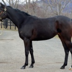 スライムの競馬ブログ