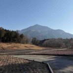 キエレさんのMAHALO日記