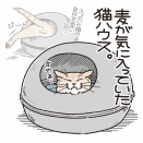 劇的ビフォーアフター