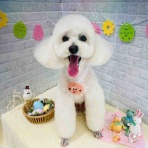 ゆうなぎ動物病院