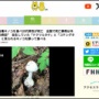 道路脇に生えていた猛毒キノコ『ドクツルタケ』を食べた20代男性が死亡…「1本で致死量」「治療しないと腎臓と肝臓の細胞がほぼ壊死」