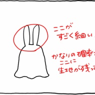 一応ハロウィンクッキー作っとこ