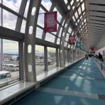 チキチキ号奮戦記