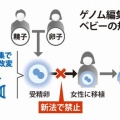 【胎内移植に罰則】「ゲノム編集ベビー」規制法成立
