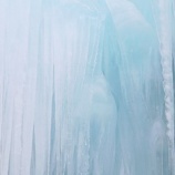 『樹氷：触処清涼　』の画像