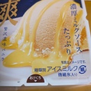 期間限定のアイスクリーム