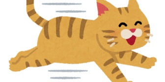 今朝、朝食を食べながら嫁が猫を飼いたいって言い出した。だけど俺は動物が苦手だ…