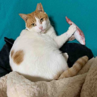 志津駅前　八百屋さん