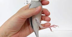 心の声が漏れる