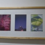 大和路ぶらぶら