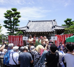 はっけよーい！おぎゃー！今年も長興寺の泣きずもうやるって。５月31日。赤ちゃん力士の熱戦が開幕！
