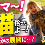【画像】子ども「ママ〜猫拾ったよー！」←どう見ても猫じゃなくて草ｗｗｗｗｗ