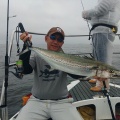 9月13日の釣果