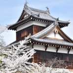 宝塚コミパ通信