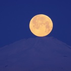 『投稿：撮影成功「パール鳥海」　2022/04/26』の画像