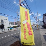 猫とお酒と日々のこと