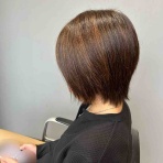 Blondie通信