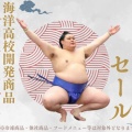 大の里横綱昇進記念セール