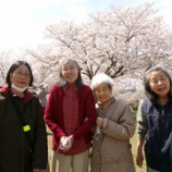 『お花見に行きました🌸四月編🌸/花の季苑デイサービス』の画像