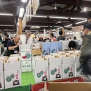 スイカが美味しい