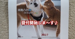 2027年のチャリティーカレンダーの受付を開始します