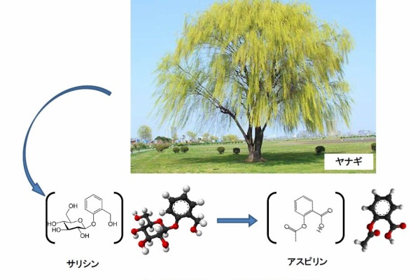 城先生と寺尾先生の知って得するかも 健康 化学まめ知識 化学編 有機化合物