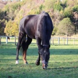 『天気予報』の画像