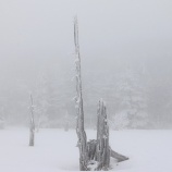 『心の中の季節リズム』の画像