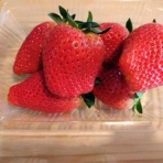 小径の向こうの隠れ家カフェ