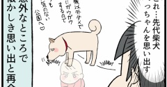 育児中に「懐かしい愛犬との思い出」に再会した話
